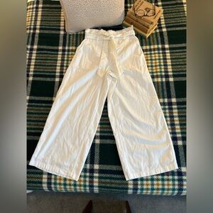 American Eagle Wide Leg